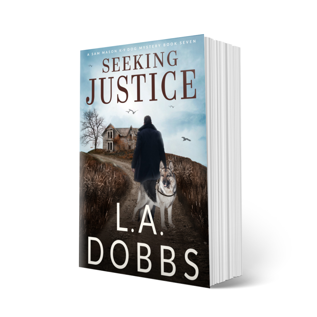 Seeking Justice (PAPERBACK)