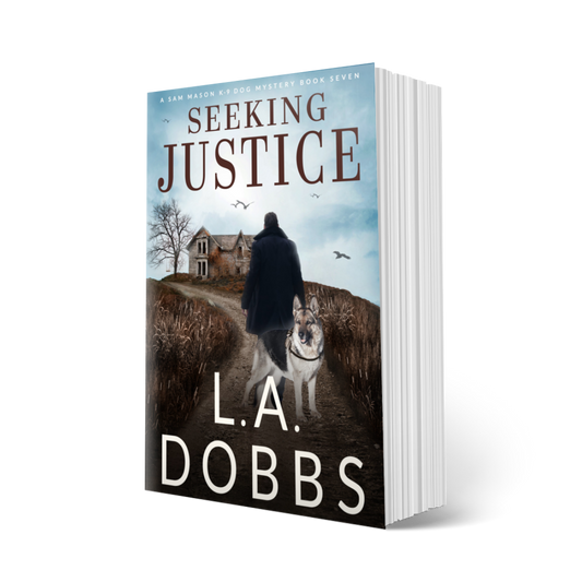 Seeking Justice (PAPERBACK)