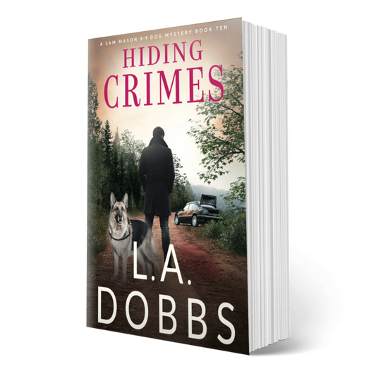 Hiding Crimes (PAPERBACK)